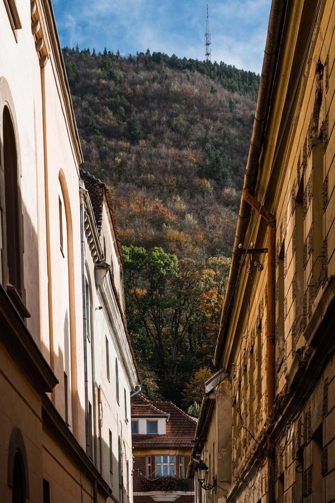 Ferienwohnung Lara'S Loft Brașov Exterior foto